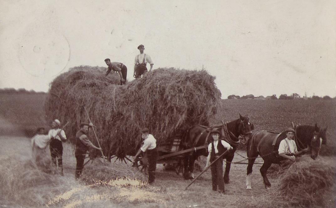 1918 - Farming Scene
